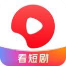 《我的姐姐》日记
